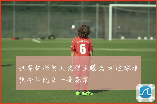 世界杯彩票大奖得主曝光 幸运球迷凭冷门比分一夜暴富