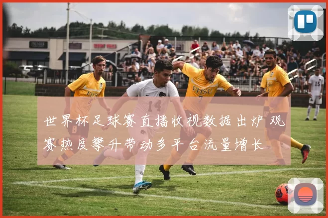 世界杯足球赛直播收视数据出炉 观赛热度攀升带动多平台流量增长