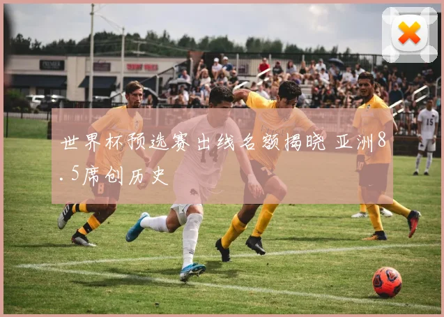世界杯预选赛出线名额揭晓 亚洲8.5席创历史